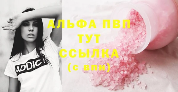 стафф Зеленокумск