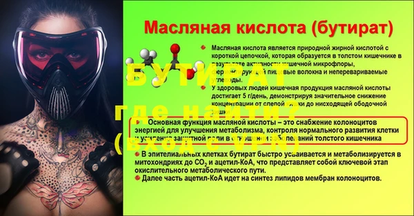 СК Инта