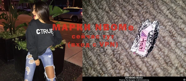 индика Иннополис