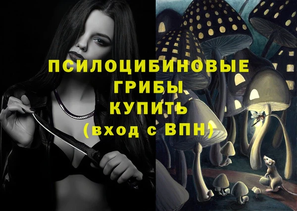 бошки Заволжье