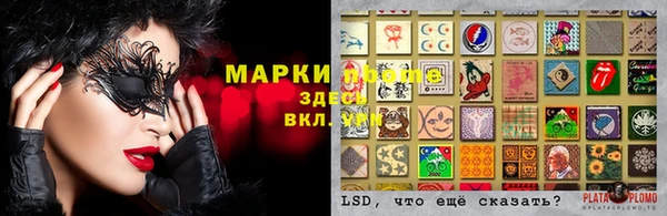 стафф Зеленокумск