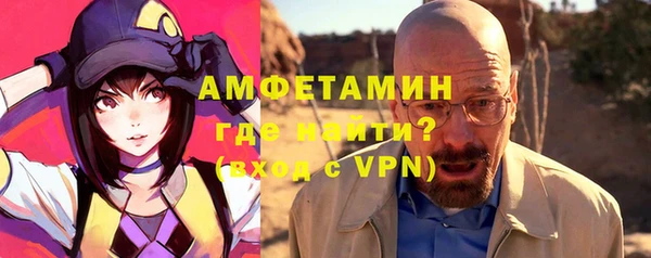 индика Иннополис