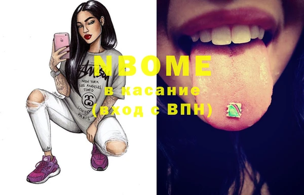 дурь Ельня